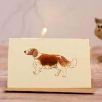 Mini Spaniel card
